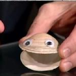 clam.jpg