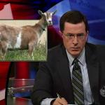 the.colbert.report.09.17.09.Frank Bruni_20090924022831.jpg