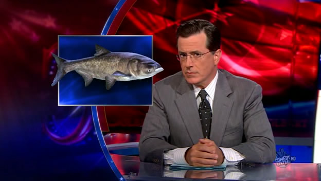 the.colbert.report.07.07.10.Steve Carell_20100708012409.jpg