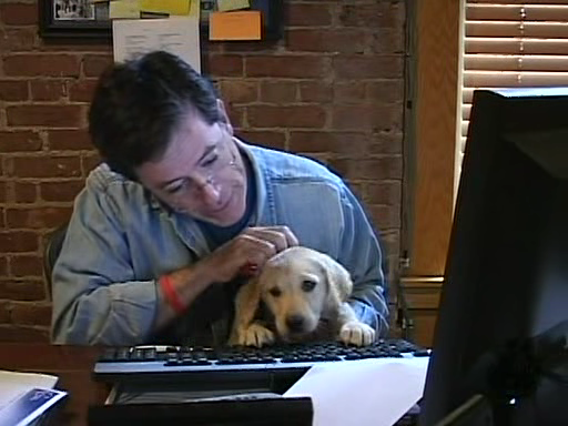 colbert-puppy2.png